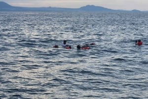 Puerto Plata: Catamaran Party Boat naar Sosua Bay