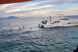 Puerto Plata: Catamaran Party Boat naar Sosua Bay