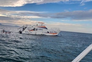 Puerto Plata: Catamaran Party Boat naar Sosua Bay