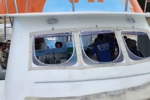 Puerto Plata: Catamaran Party Boat naar Sosua Bay