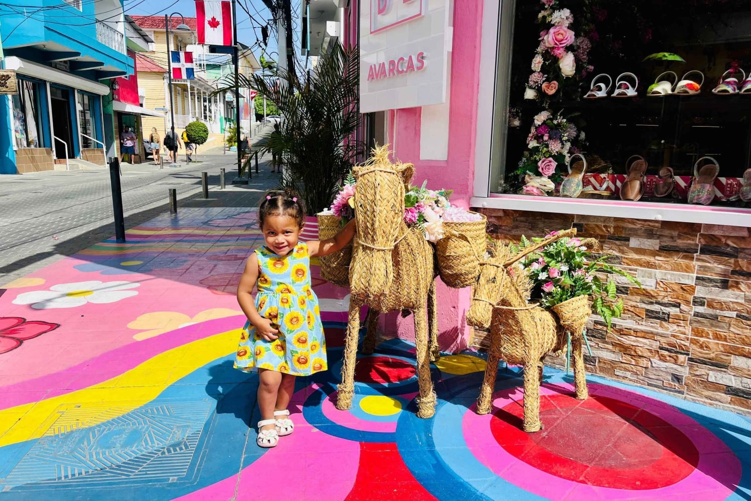 Puerto Plata Private City Tour