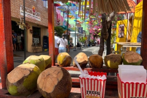 Puerto Plata Private City Tour