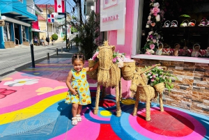 Puerto Plata Private City Tour