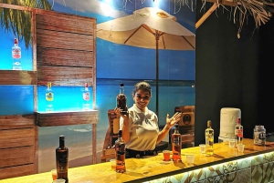 Puerto Plata: Privat tur i hela staden med strandtid