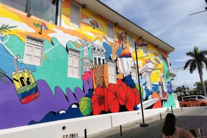 Puerto Plata: Privat tur i hela staden med strandtid