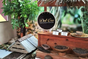 Puerto Plata: Private Full City Tour with Beach Time