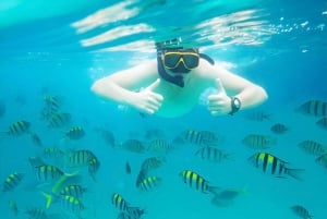 Puerto Plata: Snorkeling Excursion to Sosúa beach