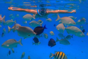 Puerto Plata: Snorkeling Excursion to Sosúa beach