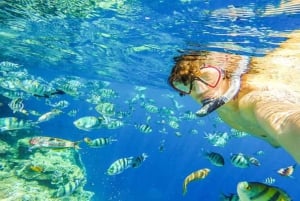 Puerto Plata: Sosúa Bay Snorkeling Tour with Transfers