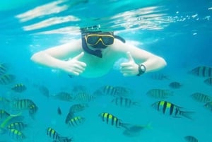 Puerto Plata: Sosúa Bay Snorkeling Tour with Transfers