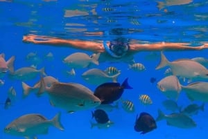 Puerto Plata: Sosúa Bay Snorkeling Tour with Transfers