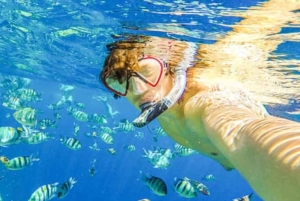 Puerto Plata: tour di snorkeling nella baia di Sosúa con trasferimenti