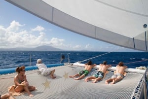 Puerto Plata: Sosúa katamaran dagsudflugt med frokost og drikkevarer