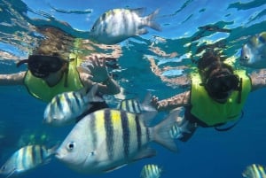 Puerto Plata: Sosúa katamaran dagsudflugt med frokost og drikkevarer