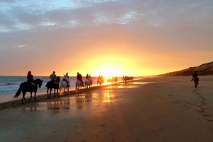 Puerto Plata: Sunset Beach Horseback Riding Tour
