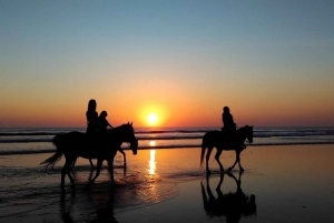 Puerto Plata: Tour a cavallo sulla spiaggia al tramonto