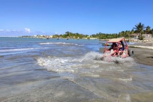 Puerto Plata: Super Buggy Tour med simning och provsmakning