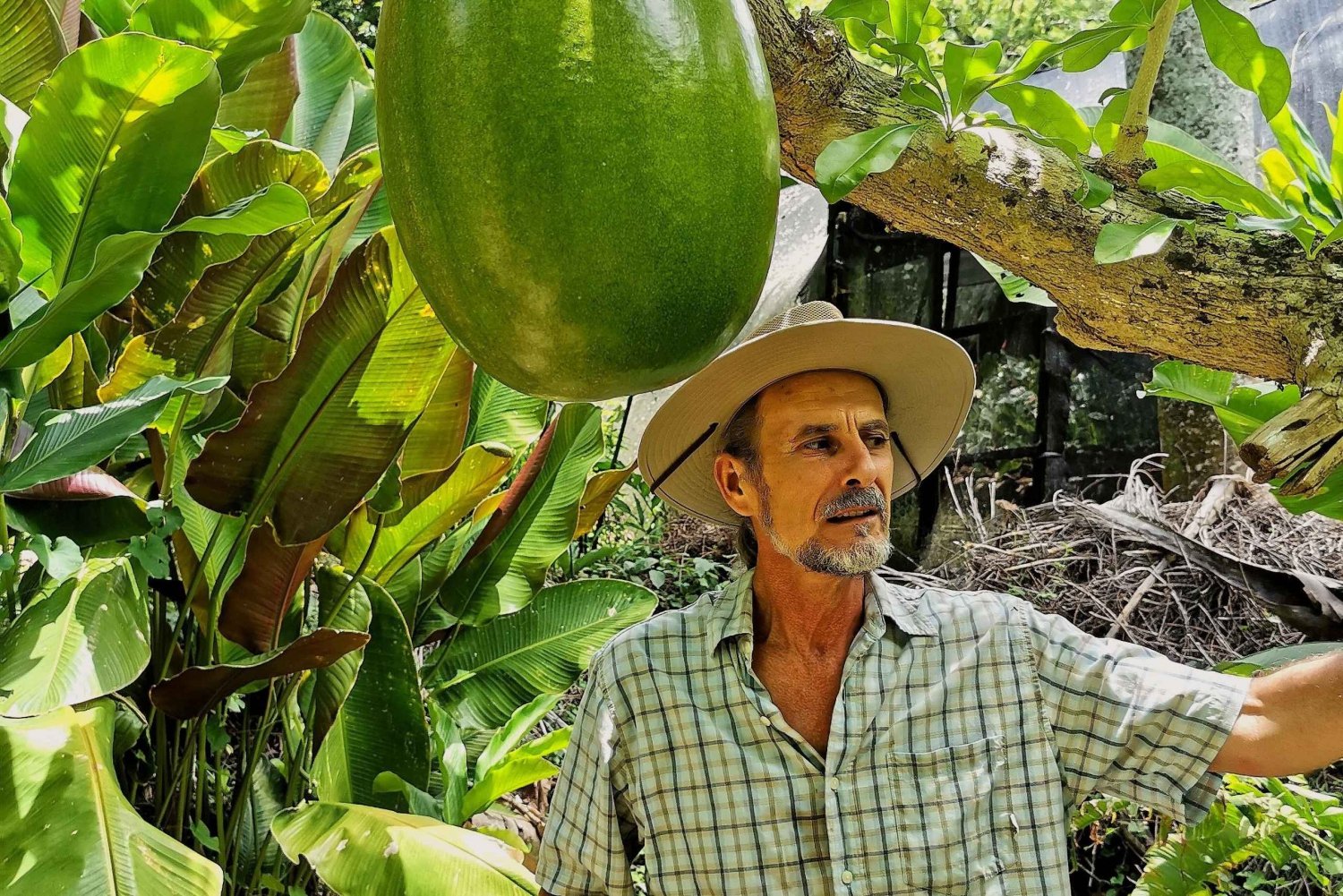 Puerto Plata: Vale do Taino e experiência do sabor dominicano