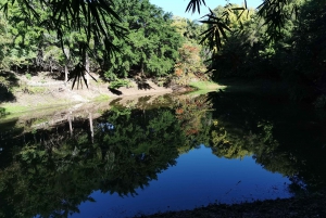 Puerto Plata: Das Taino-Tal und das dominikanische Geschmackserlebnis