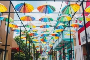 Puerto Plata: tour cultural con degustación de ron y puro