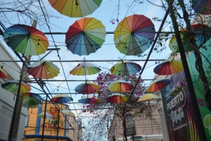 Puerto Plata: tour cultural con degustación de ron y puro