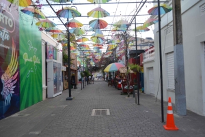 Puerto Plata: tour cultural con degustación de ron y puro