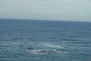 Puerto Plata: tour cultural con degustación de ron y puro