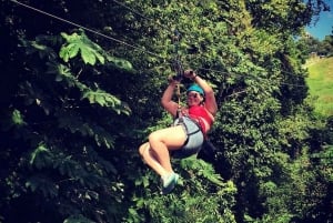 Puerto Plata: Treetop Zip Lining Adventure Experience