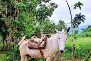Puerto Platan vaellus - Luontokokemus ja kansanperinne