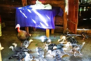 Puerto Platan vaellus - Luontokokemus ja kansanperinne