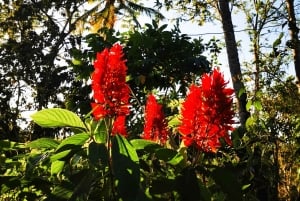 Puerto Platan vaellus - Luontokokemus ja kansanperinne