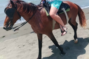 Puerto Plata: Triple Adventure on ATV, Horseback, City Tour