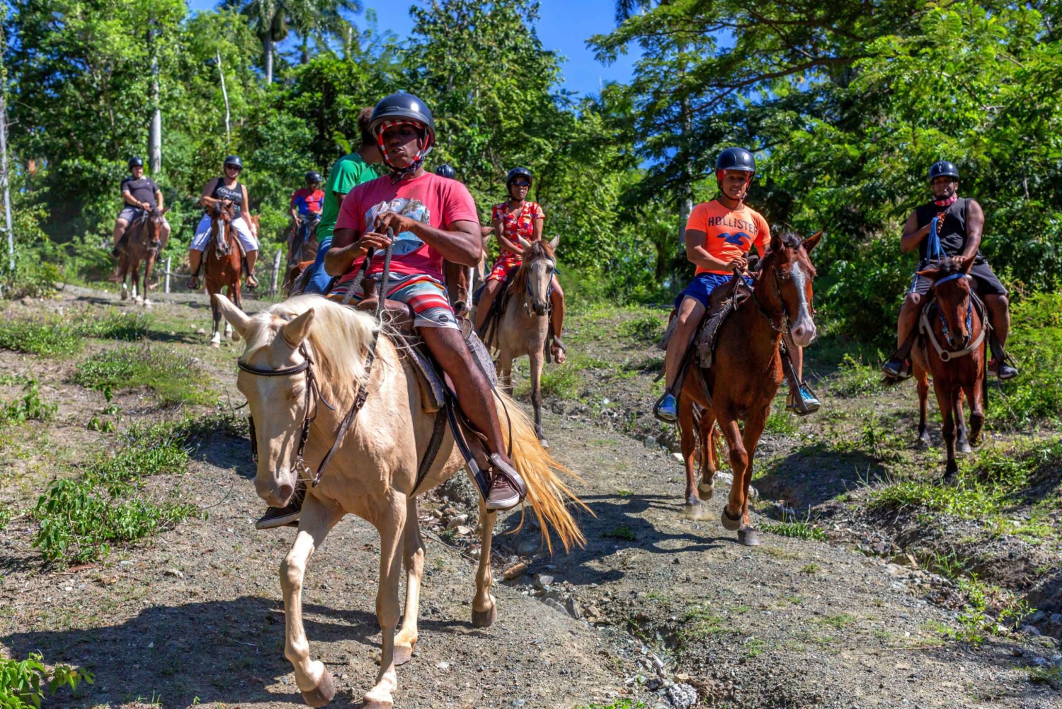 Puerto Plata: Waterfalls, Zip Line Adventure and Horse Ride