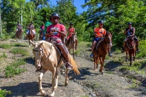 Puerto Plata: Cataratas, aventura com tirolesa e passeio a cavalo