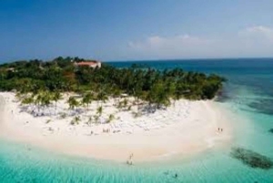 Puerto Plata: Whale Watching & Bacardi Island Day Trip