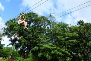 Puerto Plata: Aventura de tirolesa