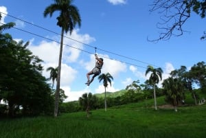 Puerto Plata: Aventura de tirolesa