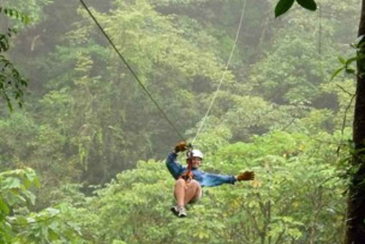 Puerto Plata: Zipline og vandfaldseventyr med frokost