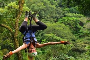 Puerto Plata: Zipline og vandfaldseventyr med frokost