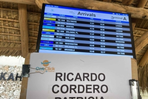 Punta Cana: 1-suuntainen yksityinen kuljetus