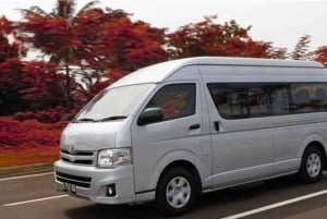 Punta Cana: trasferimento privato di sola andata