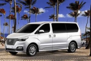 Punta Cana: trasferimento privato di sola andata