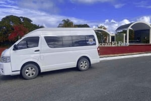 Punta Cana: trasferimento privato di sola andata