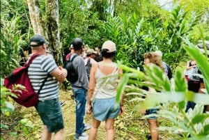 Punta Cana: 2-Day Saona Island and Los Haitises Adventure