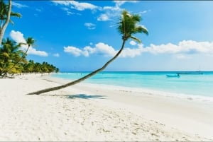 Punta Cana: 2-Day Saona Island and Los Haitises Adventure