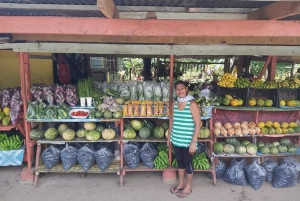 Punta cana : 3 heures panoramiques avec marché artisanal en petit groupe