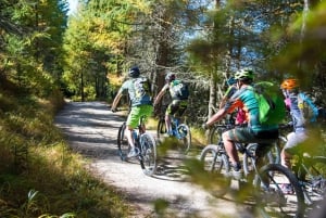 Punta Cana: 4 timers ATV-eventyr med ridning