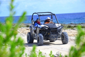 Punta Cana: Polaris 4x4 Tour, Zip line, and Horseback Riding