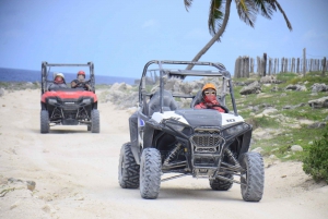 Punta Cana: Polaris 4x4 Tour, Zip line, and Horseback Riding