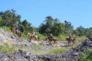 Punta Cana: Polaris 4x4 Tour, Zip line, and Horseback Riding